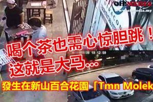 案件發生在新山百合花園TmnMolek，時常有外出用餐喝茶的人可要注意了！！