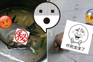 太噁心！台女喝湯撈出「這個」！瞬間食慾全消，真的嚇到了！