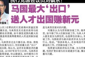 劉鎮東：大馬最大出口是將人才「送」出國賺新元