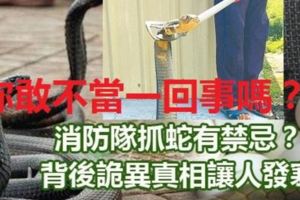 消防隊抓蛇有禁忌？背後詭異真相讓人發寒！你敢不當一回事嗎？