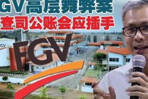 FGV高層舞弊案，稽查司公賬會應插手展開調查行動了。