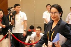 洪秀柱高雅、高金素梅俐落