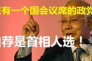 有最多國席政黨，　納吉：才有資格推薦首相人選。。。一些只有一個國會議席的政黨，卻談論在下屆大選爭當首相人選。