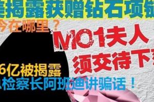 阿班迪是否有詢問，「馬來西亞一號官員妻子」，這個22克拉的粉紅鑽石項鏈如今在哪裡？