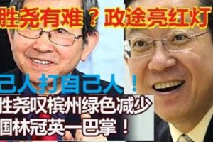 自己人打自己人！行動黨元老陳勝堯有難？政壇流傳政途亮紅燈？