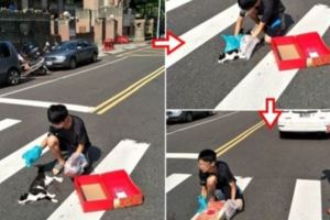 看見貓咪被車輾斃　嘉義男生溫馨善舉獲讚