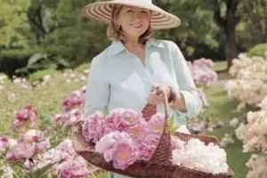 當過模特坐過牢，76歲的她卻靠做家務狂賺13億，讓男人自嘆不如！