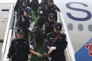 柬埔寨逮7名台籍詐欺犯外交部：爭取遣返台灣