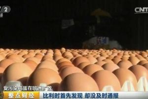 【恐怖】「毒雞蛋」持續發酵！超市雞蛋紛紛下架，數十萬母雞被屠宰...