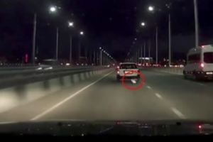 他在高速公路發現前面的車「有一團白色的東西掉出來」，下一秒發現是貓咪嚇到緊急煞車…