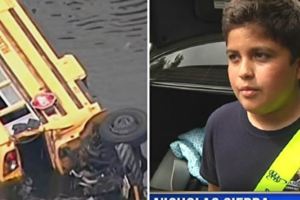 校車墜鱷魚塘10歲男童鎮靜救人