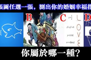 四張圖任選一張，測出你的婚姻幸福指數，你屬於哪一種？