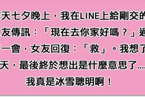 七夕情人節我LINE女友「去你家好嗎？」女友竟然只回了一個「救」字，想破頭的我終於想出來了...分手危機就這麼被我化解啦！