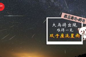 12月的天空不寂寞！「雙子座流星雨」12月13&14日劃過大馬上空最佳觀星地點就在這裡！