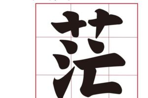 臺灣2017代表字「茫」拔得頭籌