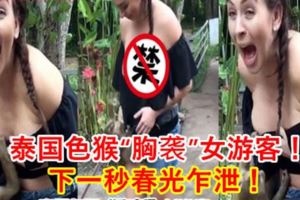 泰國色猴「胸襲」女遊客！下一秒春光乍洩！內附視頻】