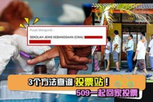 3個方法查詢投票站！509一起回家投票！