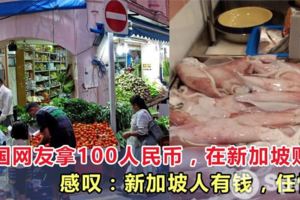 中國網友拿100塊人民幣，去新加坡市場買東西，感嘆：新加坡人有錢，任性！