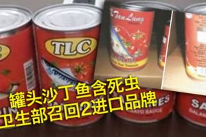 罐頭沙丁魚含死蟲　衛生部召回2進口品牌