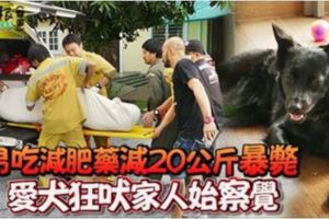 男吃減肥藥減20公斤暴斃愛犬狂吠家人始察覺