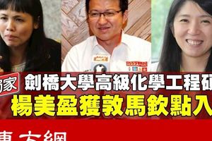 【獨家】劉鎮東或受委上議員　張念群料任教育部副部長楊美盈入閣