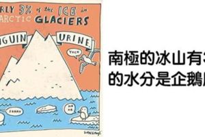 10張「超錯愕冷知識」可愛插畫　鱷魚沒辦法親親