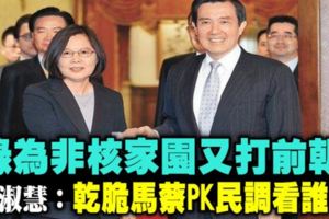蔡政府為非核家園又打前朝游淑慧：馬英九、小英PK民調誰贏？