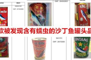 媽媽們注意！6款發現含有蠕蟲的沙丁魚罐頭品牌