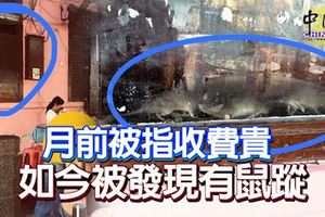 月前被指收費貴-怡保一餐館如今被發現有鼠蹤