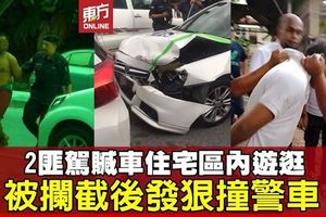 2匪駕贓車尋幹案目標　被攔截狠撞警車圖逃跑