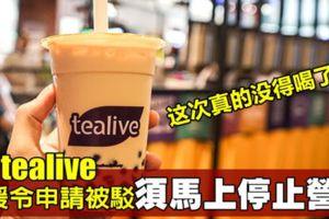 上訴庭駁暫緩令申請　Tealive須停止營業