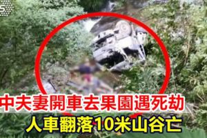 台中夫妻開車去果園遇死劫人車翻落10米山谷亡