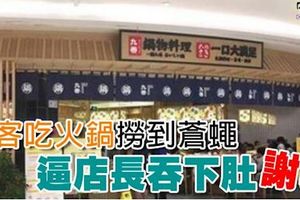 ﻿顧客吃火鍋撈到蒼蠅！逼店長吞下肚「謝罪」！