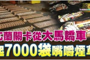 兀蘭關卡從大馬轎車起7000袋嘴嚼煙草