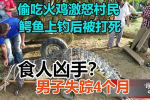 偷吃火雞激怒村民，鱷魚上釣後被打死！還要查明這只鱷魚是否就是「食人兇手」