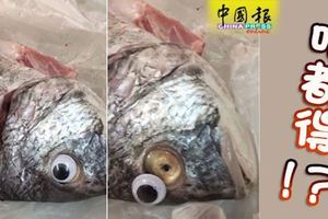 ﻿幫死魚貼「美瞳」裝新鮮魚店手法拙劣遭查封