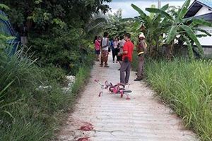 女童出門騎車慘遭鄰居惡犬活活咬死