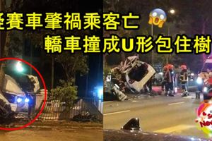 疑賽車肇禍乘客亡轎車撞成U形包住樹！