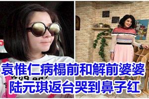 袁惟仁病榻前和解前婆婆陸元琪返台哭到鼻子紅