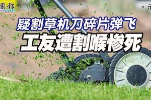 疑割草機刀碎片彈飛工友遭割喉慘死