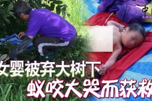 女嬰被棄大樹下蟻咬大哭而獲救