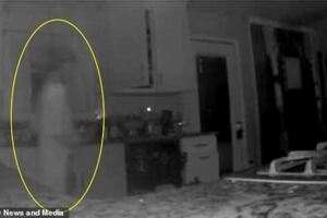 美國母親接監控警報後在廚房拍到靈異照片，鬼影疑似去世2年兒子
