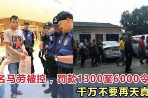 29名馬勞被控，分別被罰款1300至6000令吉千萬不要再天真了