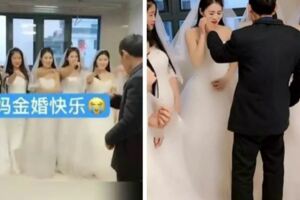 母親過世7個女兒穿婚紗陪父親過結婚紀念日，為了讓父親開心