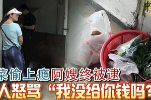 偷菜偷上癮！阿嫂終被逮！親人怒罵「我沒給你錢嗎？」