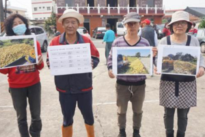 影》口誤遭綠營斷章取義 柚農替謝龍介喊冤