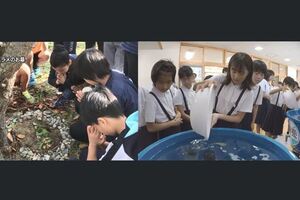生命教育，這些自己親手養的魚，吃與不吃這些日本學生如何決定呢?