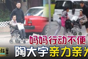 陶大宇近年主攻中國大陸市場，但是他非常孝順，就算媽媽受傷不方便出門，他還是不辭勞苦帶媽媽去喝茶