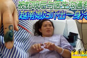 被蛇咬後與醫生溝通有誤越南媳婦嚇出一身冷汗