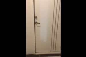 左右鄰居門內叫聲各自精彩媲美貓狗大戰，叫到原PO都懷疑人生！！網友：換你叫回去拼了